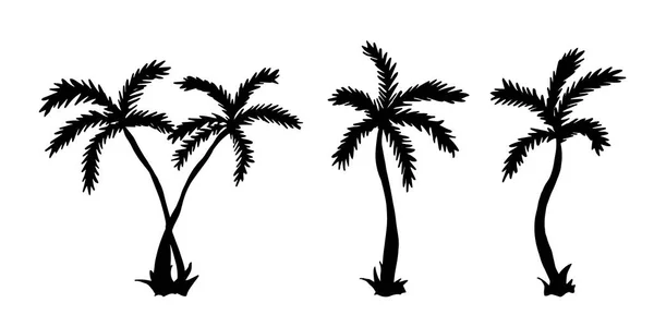 Illustrazione vettoriale. Set di palme. Mano disegnare palme tropicali. Bla — Vettoriale Stock