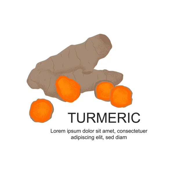 Cúrcuma laranja isolada em fatias — Vetor de Stock