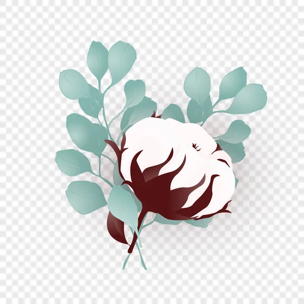 Ізольована квіткова бавовна та евкаліпт — стоковий вектор