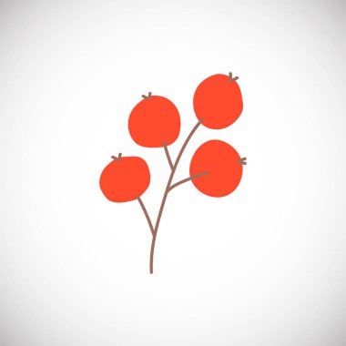 İzole edilmiş kış viburyumu