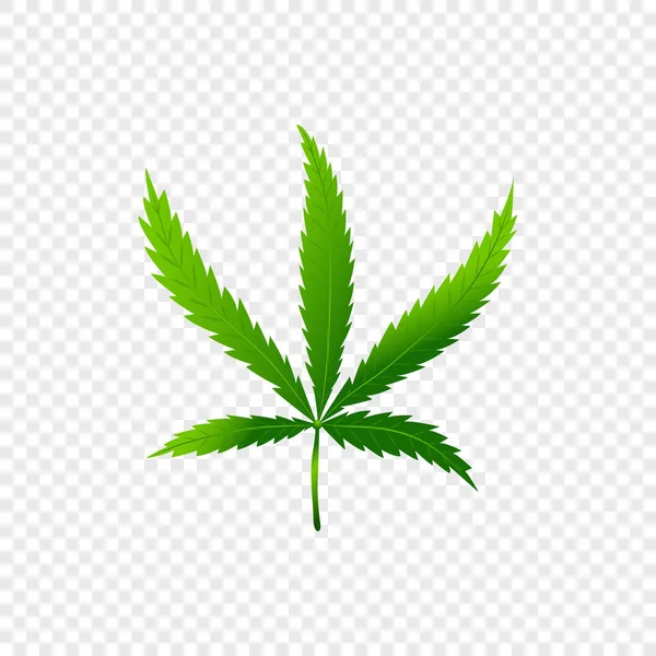 Cannabis isolé ou feuille de marijuana — Image vectorielle