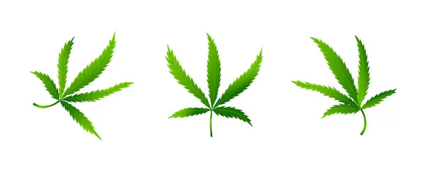Set van cannabis- of marihuanabladeren — Stockvector