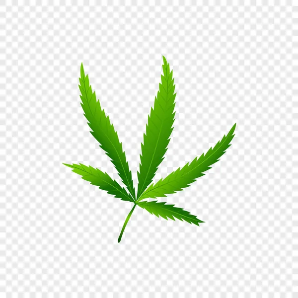 Cannabis isolé ou feuille de marijuana — Image vectorielle