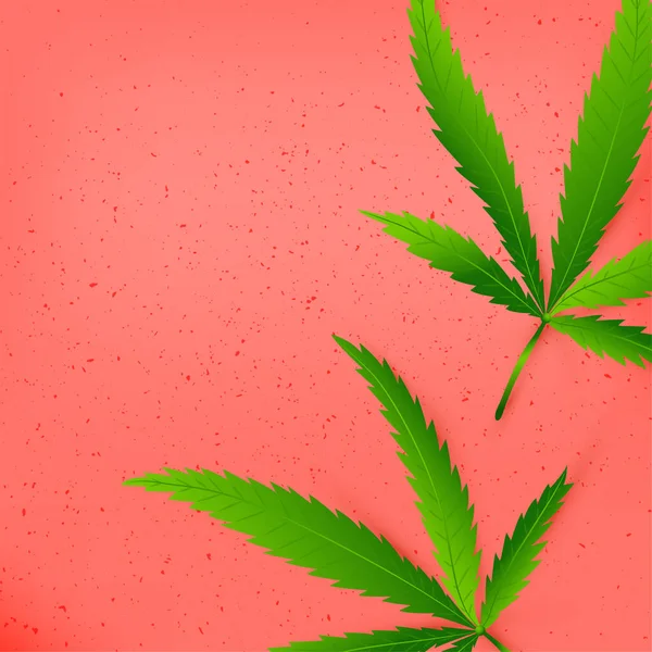 Vorlagenposter mit realistischem Cannabis — Stockvektor