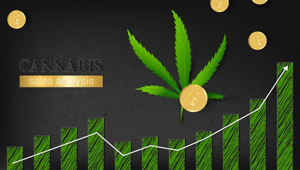 Template infografische cannabis — Stockvector