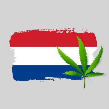 Gerçekçi esrarlı Hollanda bayrağı