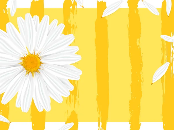Template banner with realistic chamomile — Stockvector