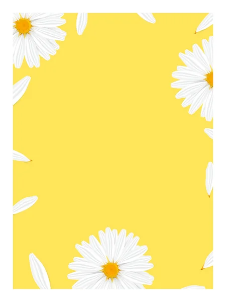 Template banner with realistic chamomile — 图库矢量图片