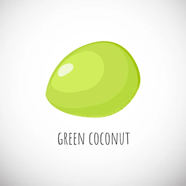 Fruit de noix de coco vert dans le style dessin animé — Image vectorielle