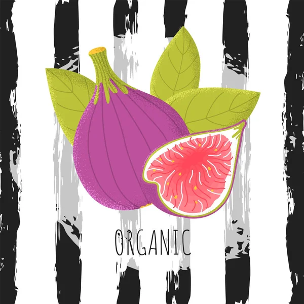 Fruta de higos ecológicos en estilo plano moderno — Vector de stock