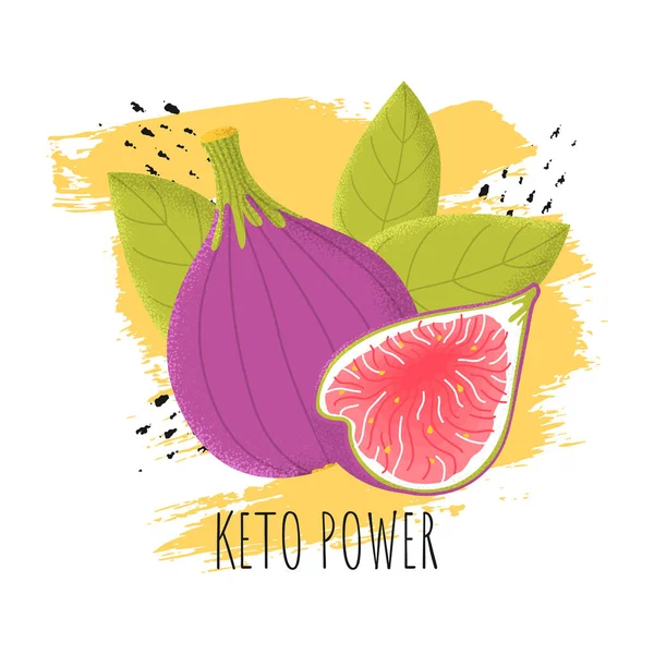 Cartão vetorial modelo Keto Power — Vetor de Stock