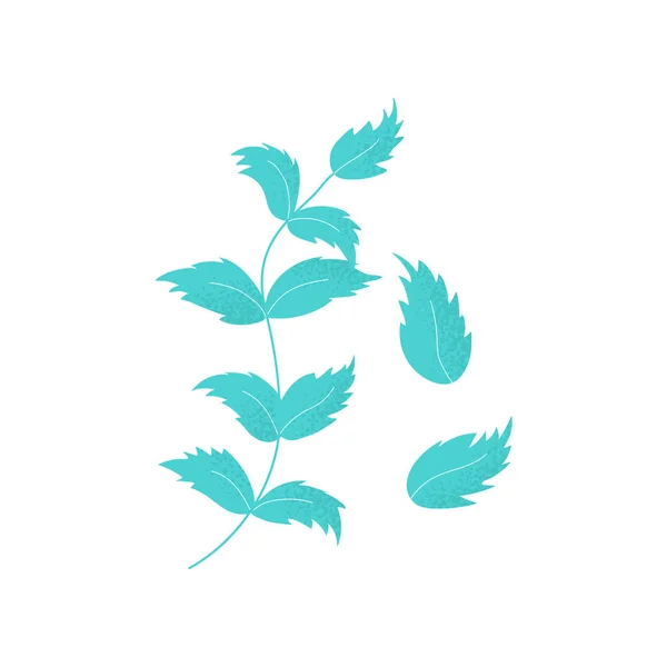 Ensemble de feuilles isolées de pois chiche — Image vectorielle
