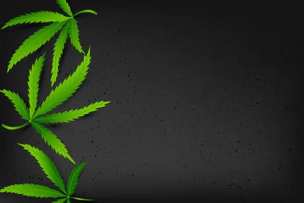 Vorlagenposter mit realistischem Cannabis — Stockvektor