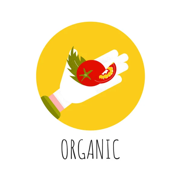 Cartaz vetorial de tomate Oragnic — Vetor de Stock