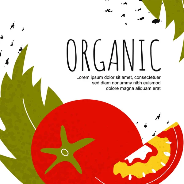 Cartaz vetorial de tomate Oragnic — Vetor de Stock