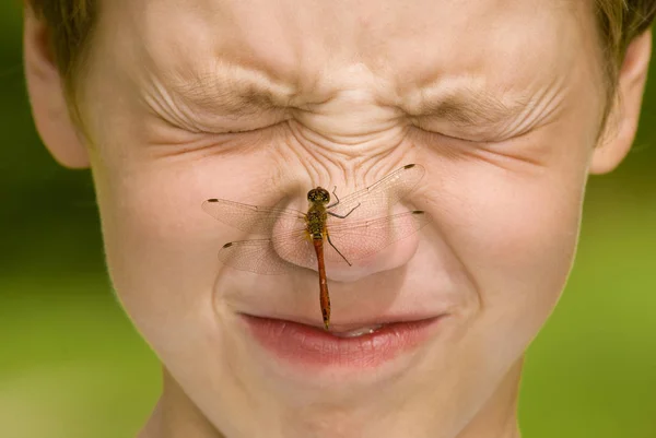 Boy Insect Nose — Stock Photo, Image