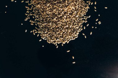 Siyah arkaplanda duran buğday