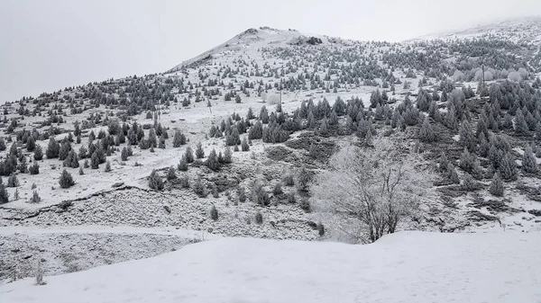 Montanhas Kosovo Cobertas Neve Imagem De Stock