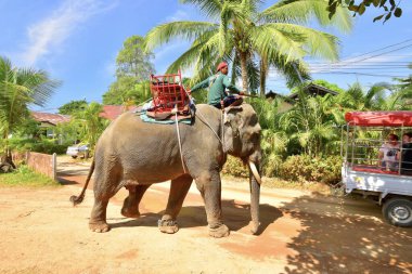 Ko Chang, Tayland - 5 Ocak 2015: Güneşli, aydınlık bir günde bir fil binicisiyle caddede yürür..
