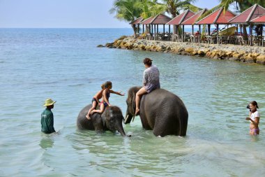 Ko Chang, Tayland 5 Ocak 2015 çocuklar denizde küçük bir fille yüzüyor. Hem çocuklar hem de bebek fil mutlu.. 