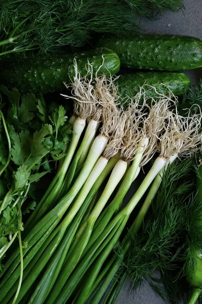 Vegetable Green Composition Green Onions Parsley Cucumbers Coriander Royalty Free Stock Images
