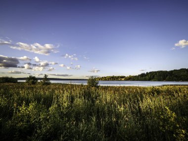 yüksek çim ve arka planda bir göl ile yaz çayır