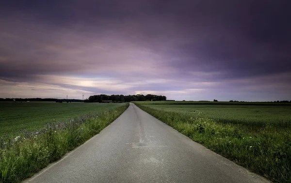Route asphaltée avec prairie verte sur les côtés et ciel violet — Photo