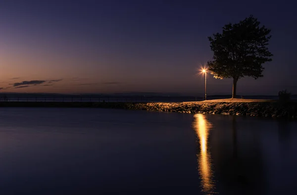 Um cais com uma lâmpada e uma árvore durante a noite — Fotografia de Stock