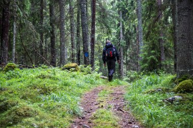 Forrest içinde yürüyüş