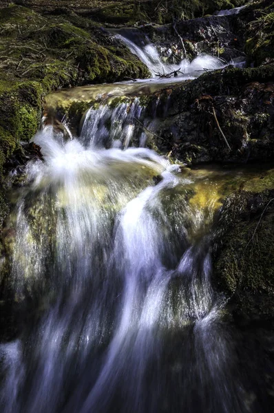 Uma pequena cachoeira na floresta — Fotografia de Stock