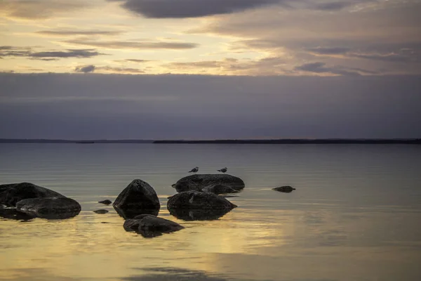 bir yaz akşamında bir kaya su iki martı oturmak