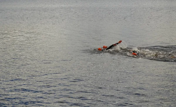 Two swimmers — Stock Photo, Image