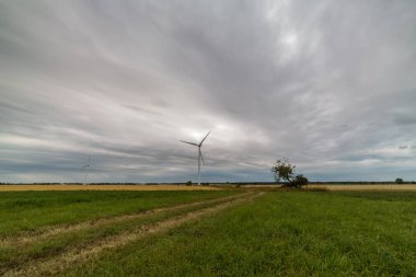 Çakıl yol yeşil sahada