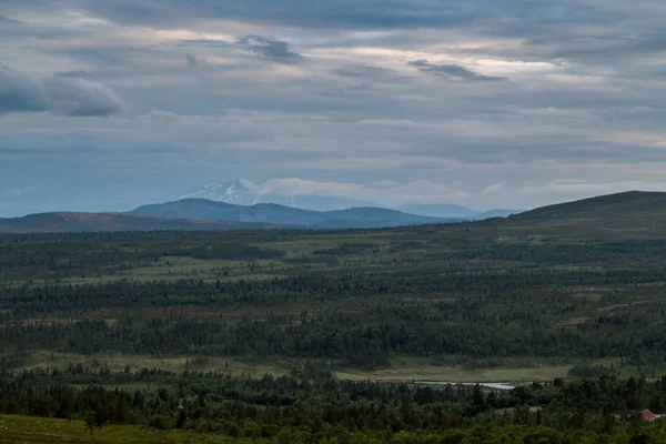 Forrest and mountains — Stock Photo, Image