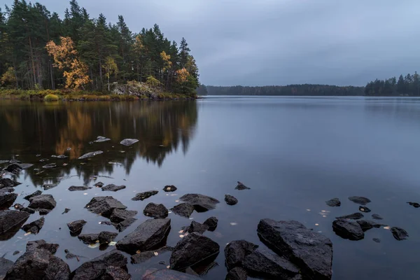 Kıyıda sonbahar yaprakları