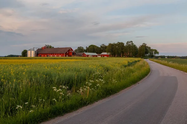 Road leading to red farmer houses Stock Image