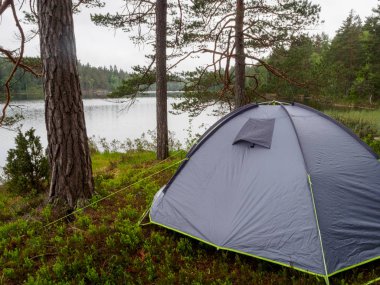 Gölde yeşil çimenlerin üzerinde gri çadır