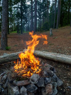 Ormanda kamp ateşi