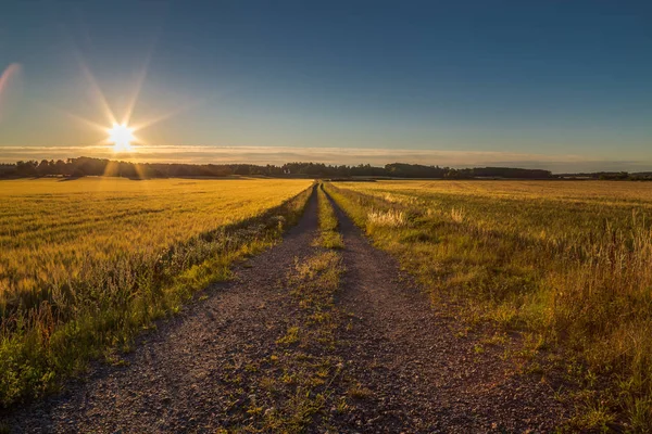 Vieille route de gravier sur les champs allant au lever du soleil — Photo