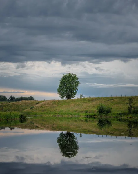 Baumreflexion im Fluss — Stockfoto