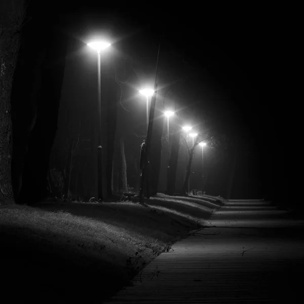 Luzes de rua no nevoeiro — Fotografia de Stock