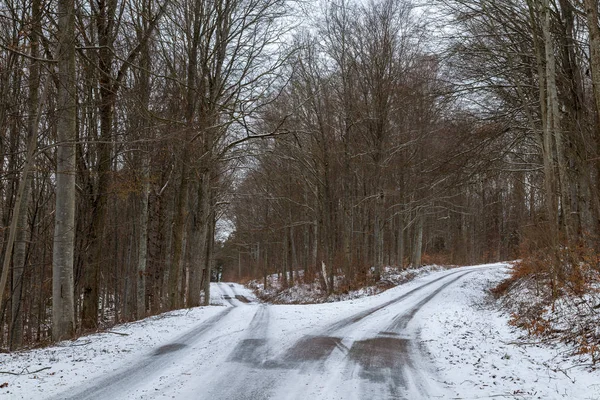 Duas estradas na floresta no inverno — Fotografia de Stock