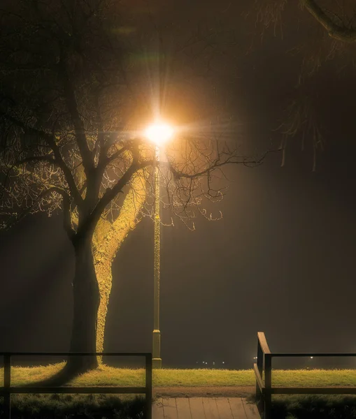 Mglisty noc i lamp post — Zdjęcie stockowe