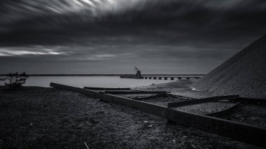 bir vinç denizin kenarında siyah beyaz fotoğraf