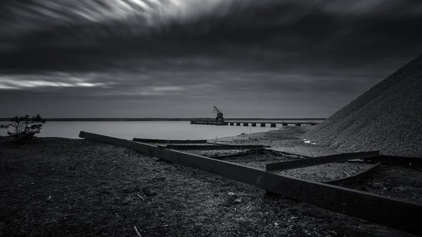 Svartvitt foto av en kran vid havet — Stockfoto