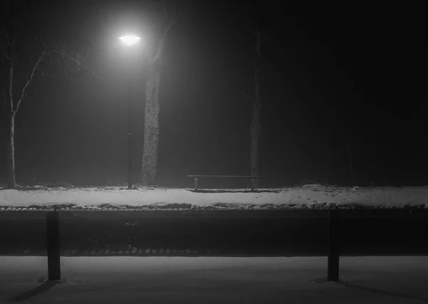 Immagine invernale di un parco con querce e panchine in nebbia — Foto Stock