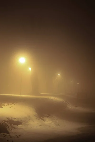 En lampa och ett träd i dimma en vinternatt — Stockfoto