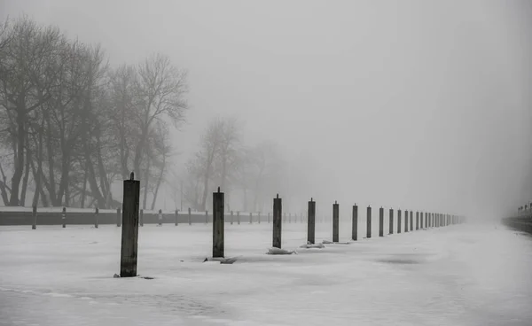 Pålar stick av en frusen sjö med dimman i bakgrunden — Stockfoto