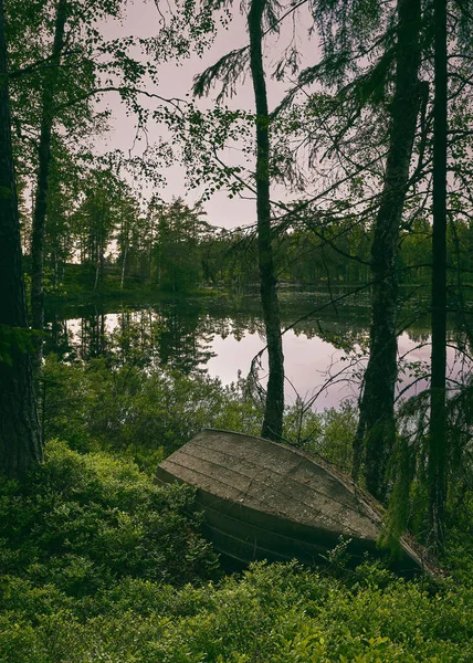 Barco Madeira Velho Encontra Acima Para Baixo Floresta Com Lago — Fotografia de Stock