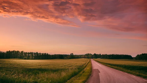 Coucher Soleil Sur Champ Avec Une Route Milieu — Photo